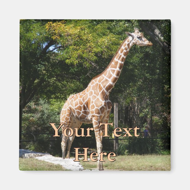 Imán Giraffe Magnet (Frente)