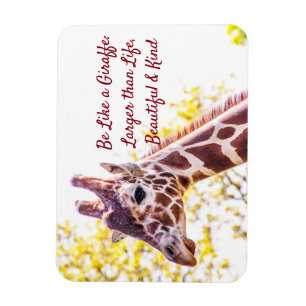 Imán Giraffe Portrait