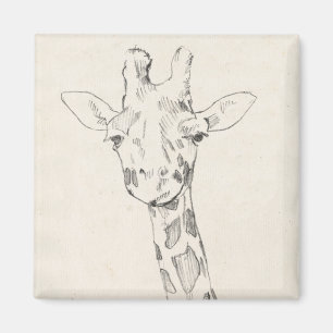 Imán Giraffe Portrait   Esbozo