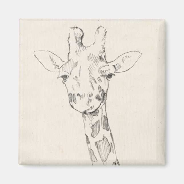 Imán Giraffe Portrait | Esbozo (Frente)