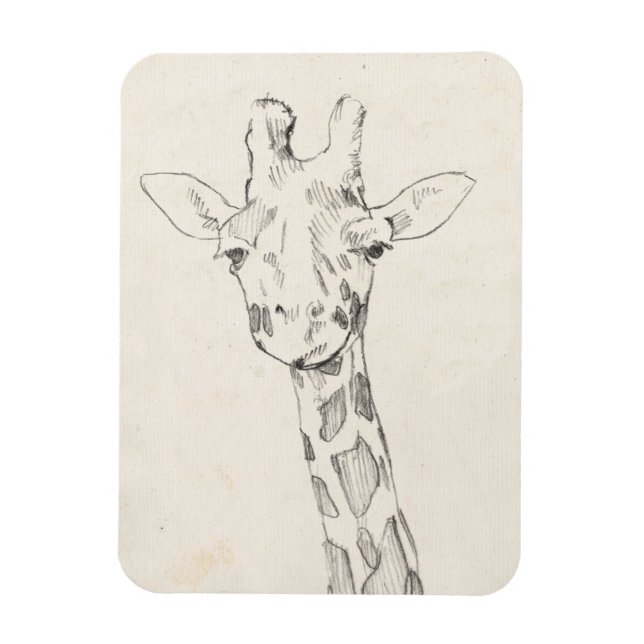 Imán Giraffe Portrait | Esbozo (Vertical)
