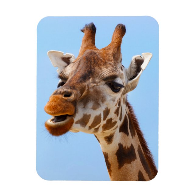 Imán Giraffe Retrato Magnet (Vertical)