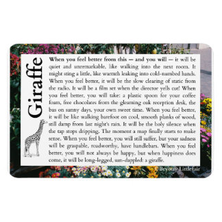 Imán Giraffe - Un poema sobre la recuperación