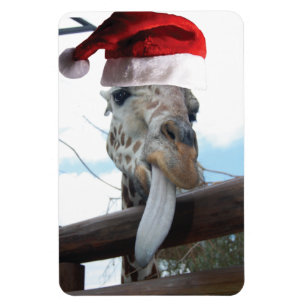 Imán Giraffe vistiendo a un Gorra de Papá Noel