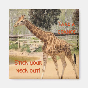 Imán giraffee