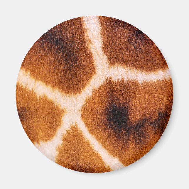 IMÁN GIRAFFES (Frente)