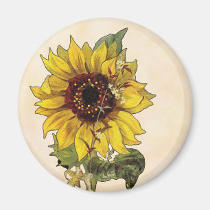 Imán Girasol