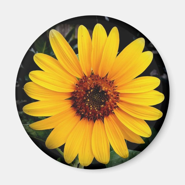 Imán Girasol (Frente)