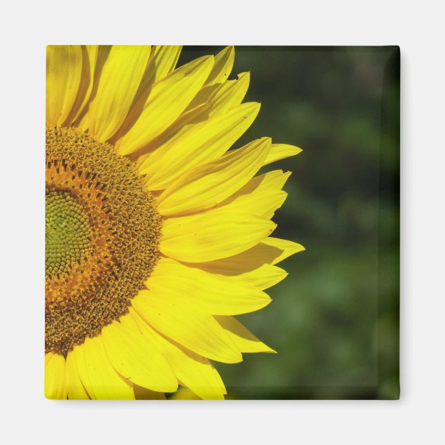Imán Girasol (Frente)