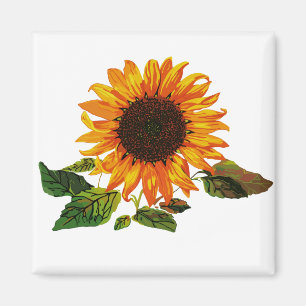 Imán Girasol