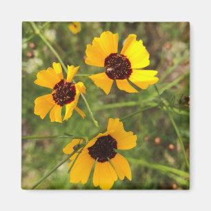 Imán Girasol