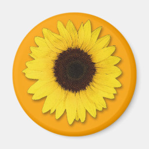 IMÁN GIRASOL