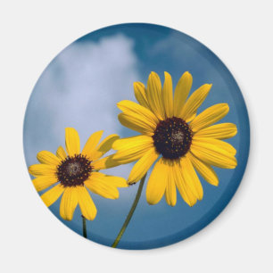 Imán Girasol