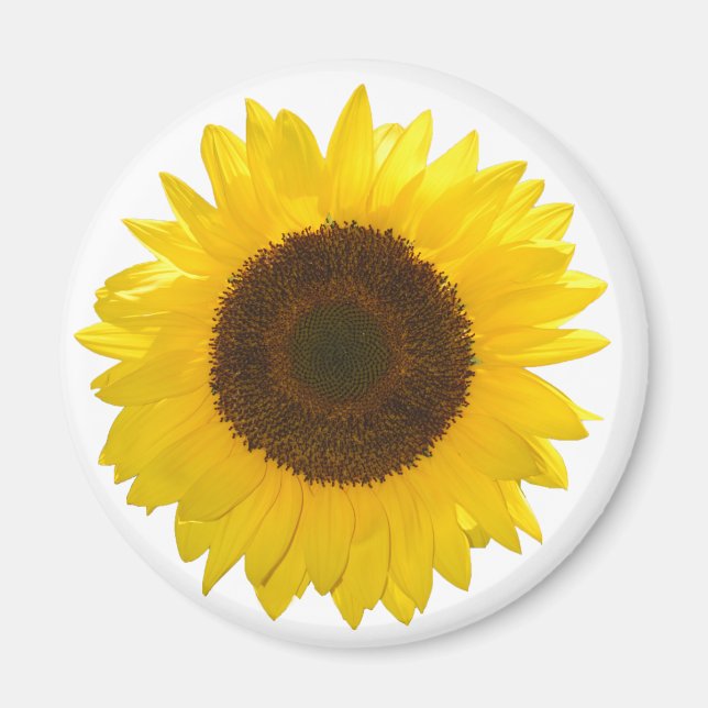 Imán Girasol (Frente)