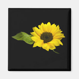 Imán girasol
