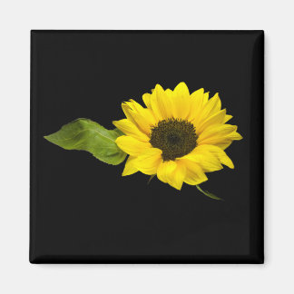 Imán girasol