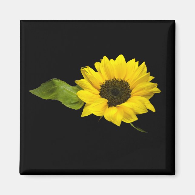 Imán girasol (Frente)