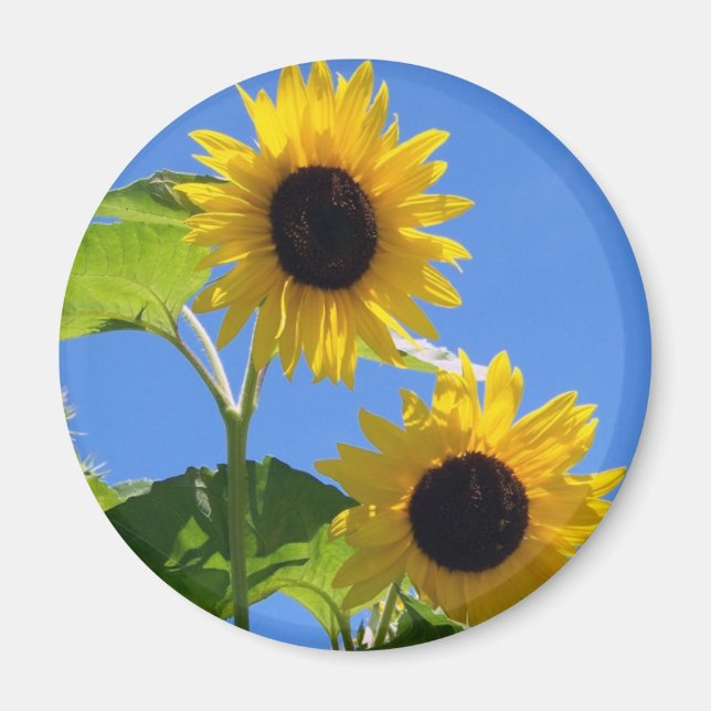 Imán Girasol (Frente)