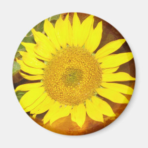 Imán Girasol