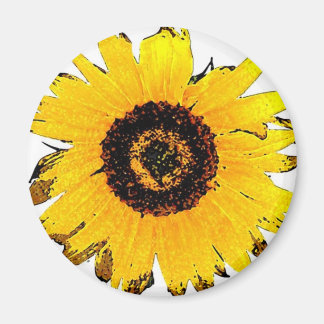 Imán girasol