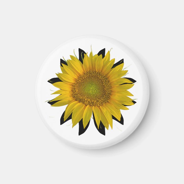 Imán Girasol (Frente)