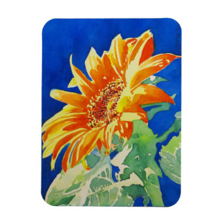 Imán Girasol
