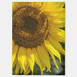 Imán - Girasol Amarillo