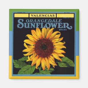 Imán Girasol de la publicidad del cajón de la fruta de