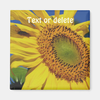 Imán Girasol e insecto invitado personalizado