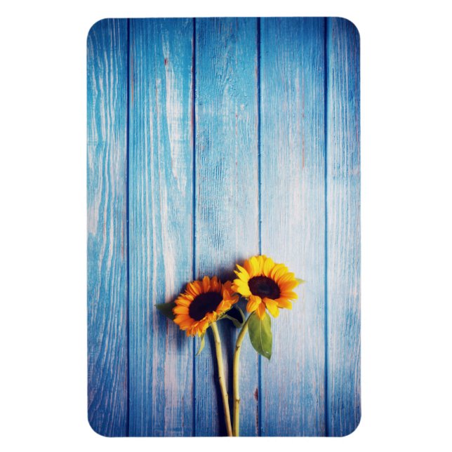 Imán Girasol en la pared de la madera azul (Vertical)