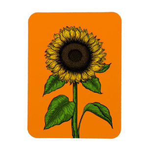 Imán Girasol en naranja