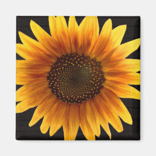 Imán Girasol rústico del otoño