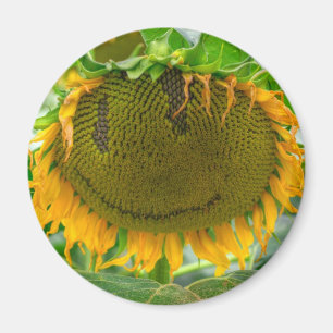 Imán Girasol sonriente