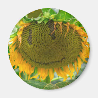 Imán Girasol sonriente