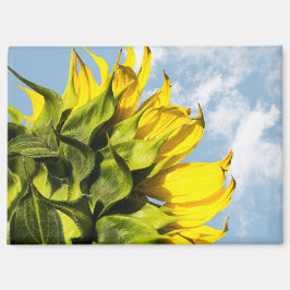 Imán - Girasol y Cielo