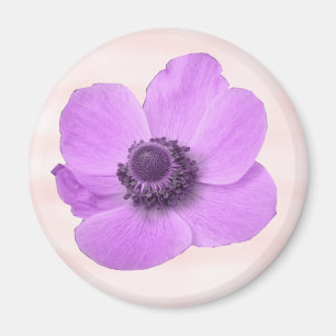 Imán Girly Pink Anemone Magnet