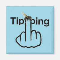 Giro de la mosca magnética