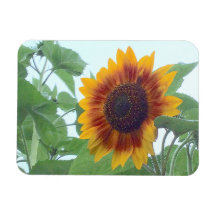 Giro en un cielo azul pálido —