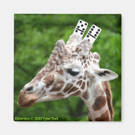 Imán Giromino imnet