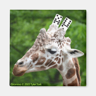 Imán Giromino imnet