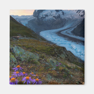 Imán Glaciar el Suiza de Monte Rosa