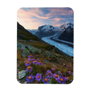 Imán Glaciar el   Suiza de Monte Rosa
