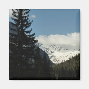 Imán Glaciar Jackson con vista al parque nacional de lo