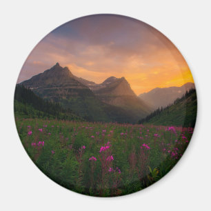 Imán Glaciar Wildflowers