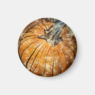 Imán Glamour de Calabaza