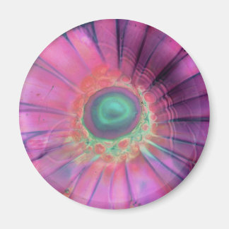 Imán Glass rosa lampwork Daisy Blank Trippy Magnet