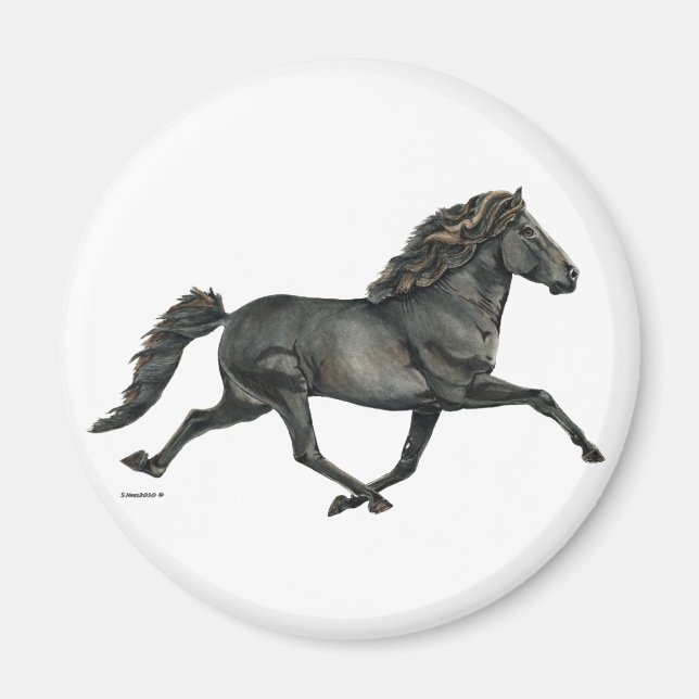 Imán Gletta (Frente)