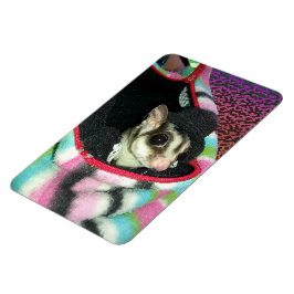 Imán Glider azucarero usando un Gorra