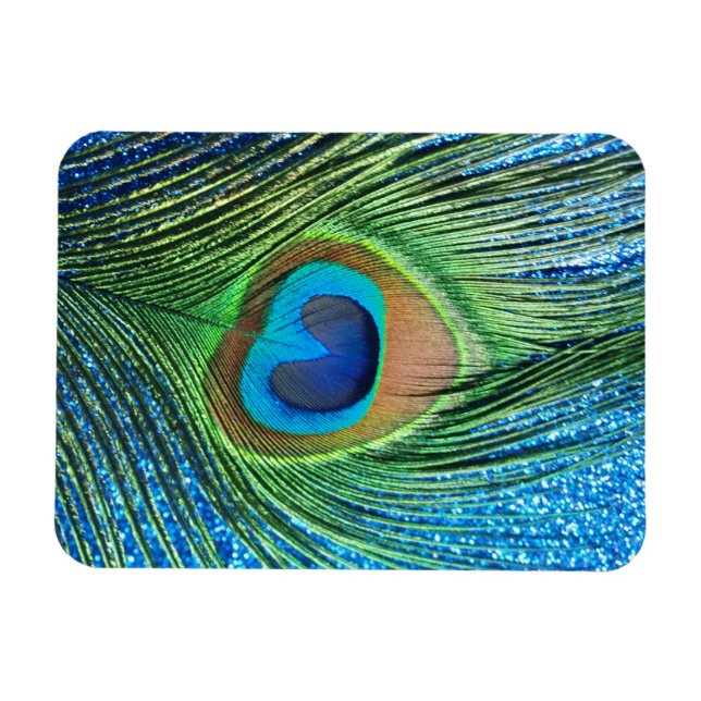 Imán Glittery Blue Peacock Feather Still Life (Horizontal)