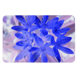 Imán Gloria de la Nieve Shocking Blue Premium Magnet